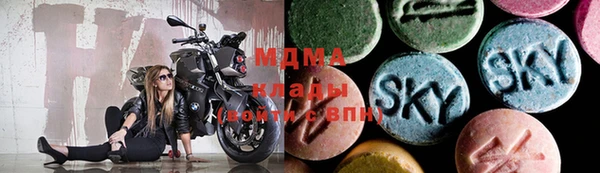 индика Лабытнанги