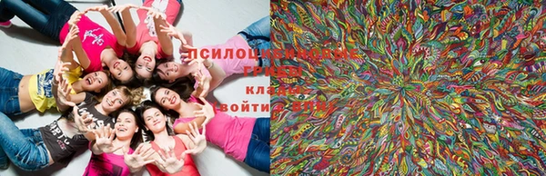 бошки Лиски
