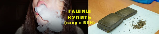 индика Лабытнанги