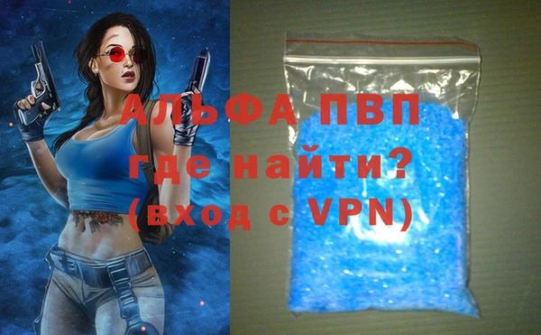 твердый Ладушкин