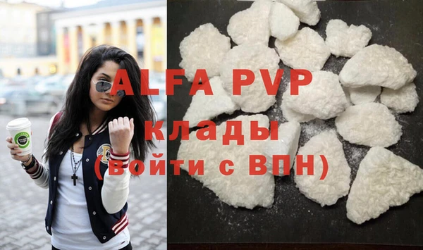 индика Лабытнанги