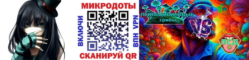 Псилоцибиновые грибы Magic Shrooms  mega зеркало  Суровикино  цена наркотик 